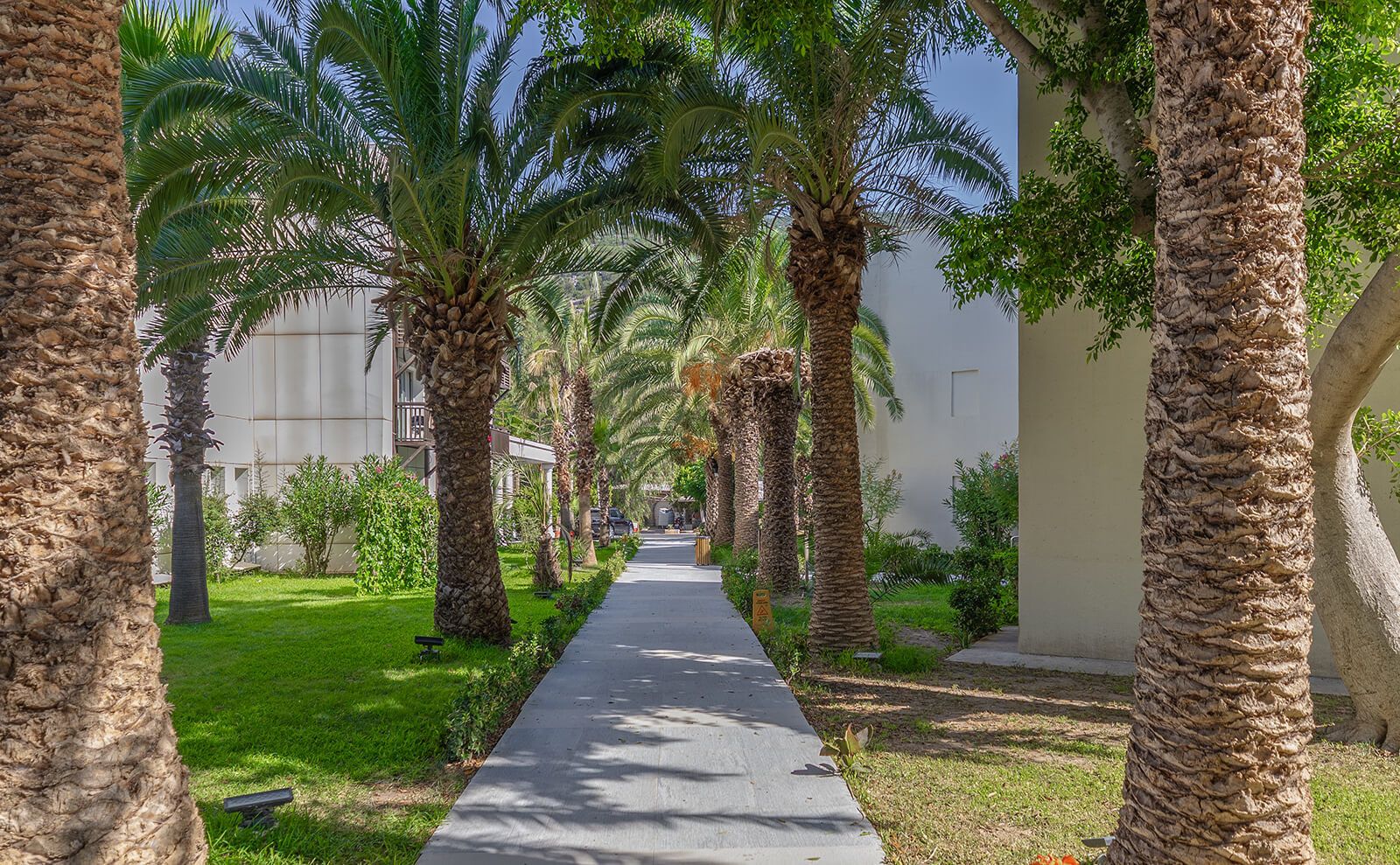 Latanya Park Resort özel plaj ve deniz manzarası