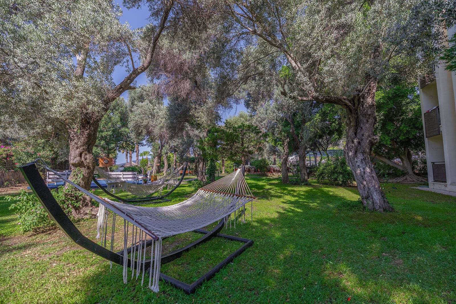 Latanya Park Resort havuz ve bahçe